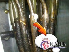 制冷劑泄漏有哪些檢測方法？